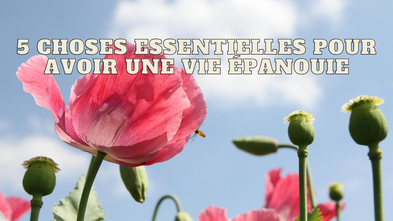 5 choses essentielles pour avoir une vie épanouie
